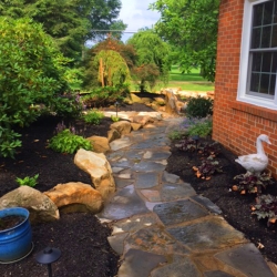 Landscape Maintenance - Campbell Landscaping, LLC.